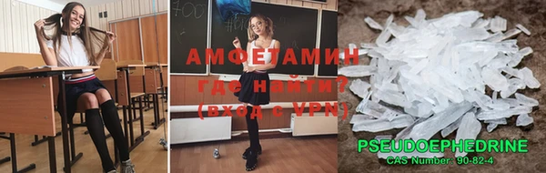 сатива Аркадак