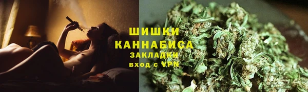 сатива Аркадак
