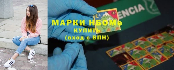 сатива Аркадак