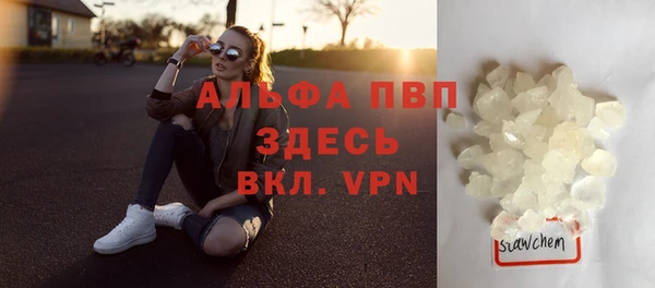 индика Арсеньев
