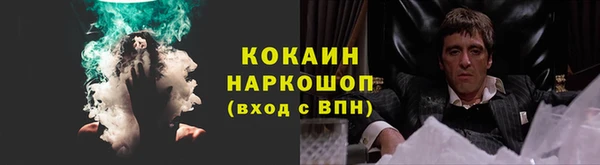 сатива Аркадак