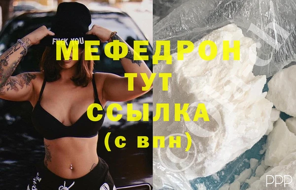 индика Арсеньев