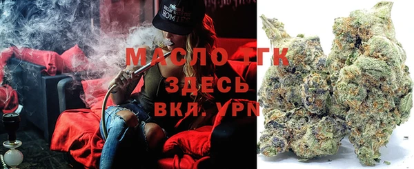 индика Арсеньев