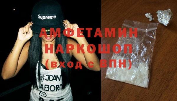индика Арсеньев