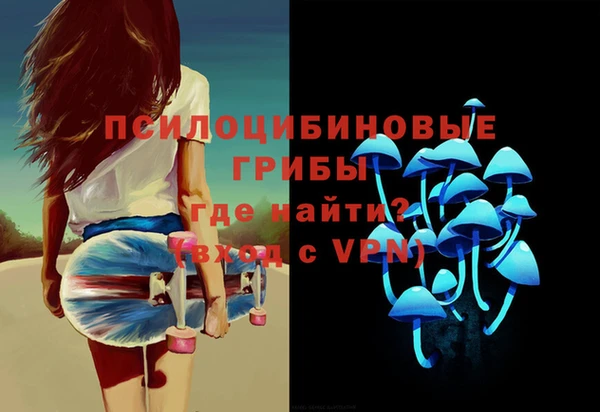 сатива Аркадак